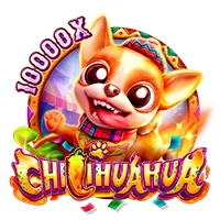 Facai : CHILIHUAHUA - SKYBET138